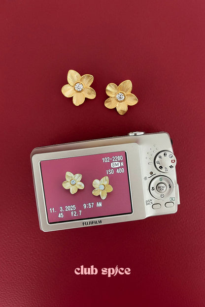 Stainless Steel Stud Earrings Flower Casual Daily Simple Series Women's jewelry